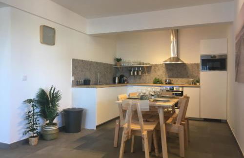 Bico das flores - Foto 42