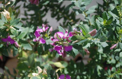 Studio Busho - Photo 55