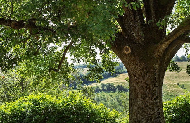 Agriturismo Molino Nuovo - Foto 38