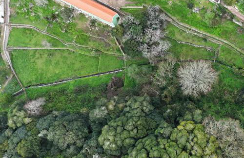 Azenha da Duquesa - Foto 20