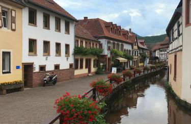 Ferienwohnungen Annweiler am Trifels - Foto 36