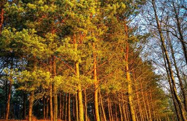 Ostoja Stacze - Foto 54