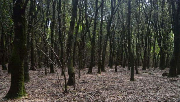 Tour in Castiadas - Foto 3