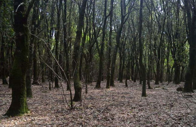 Tour in Castiadas - Foto 3