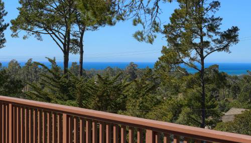 A Beautiful Tree Top Panorama - Foto 5