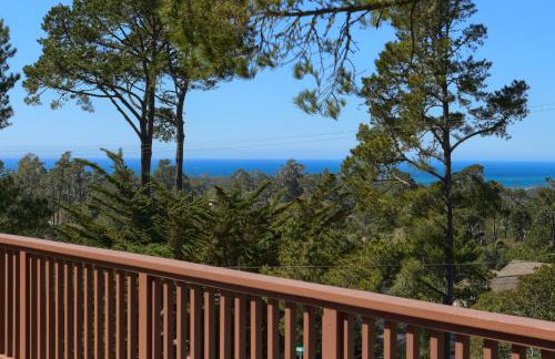 A Beautiful Tree Top Panorama - Foto 5