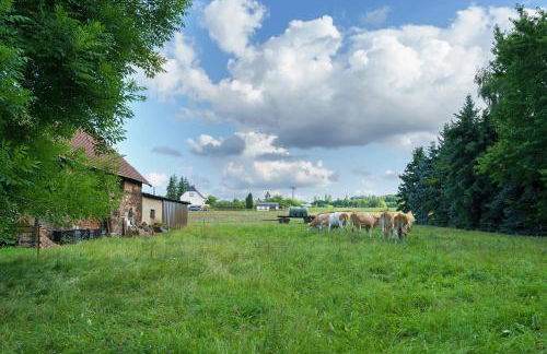 Gutshof Lesch - Ferienwohnung 2 - Foto 26