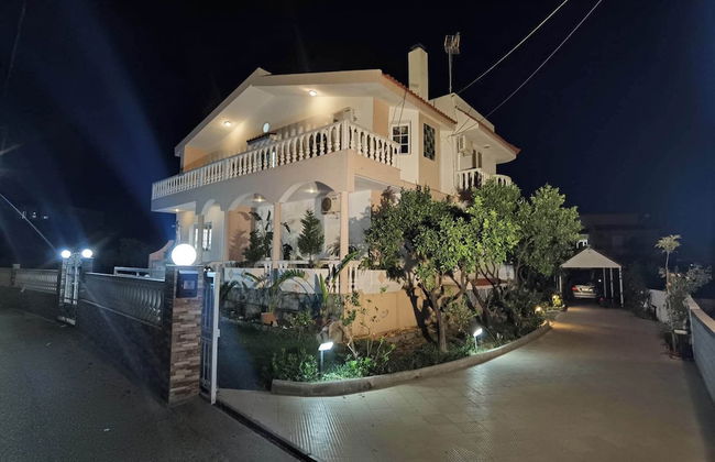 Freeman Greenlees Classical Greek - Foto 37