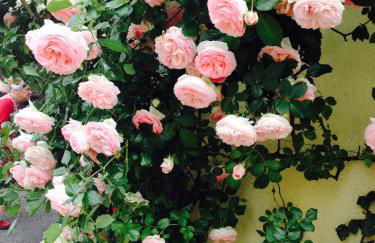 Gîte TIRE BOUCHON - Foto 18