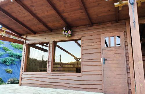 Agroturystyka Faron - Foto 43