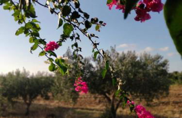 Al Profumo di Zagare - Foto 4