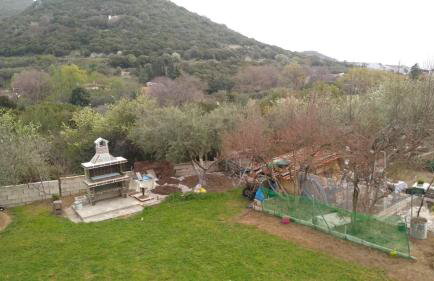 Martha's Villa - Foto 6