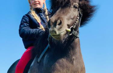 Ferienhof Utech - Foto 12