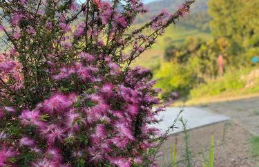 RECANTO FLORES DA MONTANHA- via fácil ASFALTO, VISTA das Montanhas - Foto 18