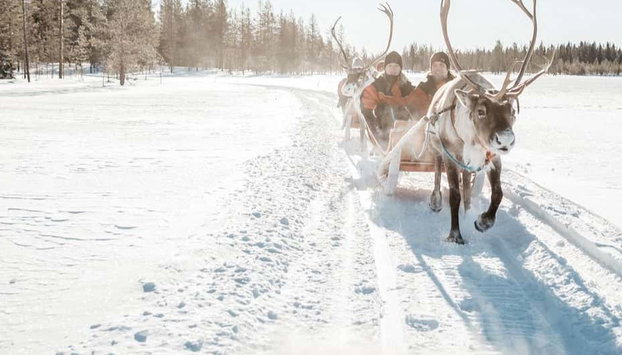 Paseo en trineo de renos - Foto 2, Disfrutando de un paseo en trineo de renos