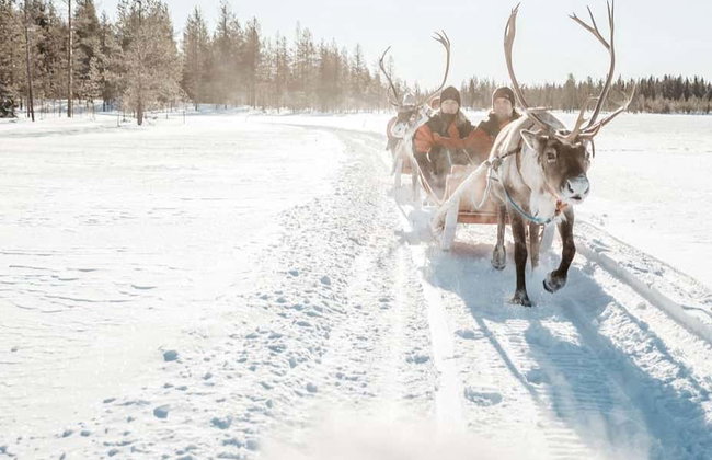 Paseo en trineo de renos - Foto 2