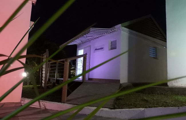 KAZ A BIBI - Photo 31