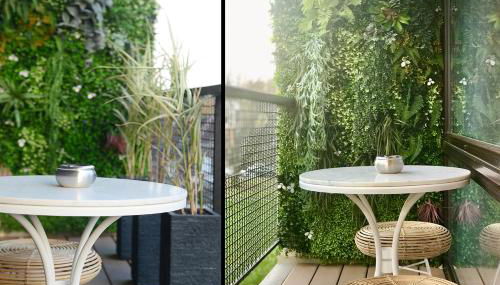 Suite Business - Foto 5, Garden view