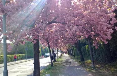 stilvoll-modern-neu - Foto 24