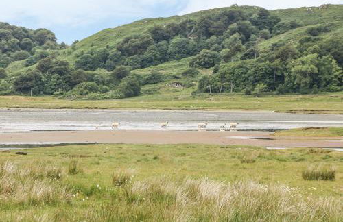 Seaview-Barsloisnach Cottage - Foto 37