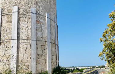 Nonna Cannella - Photo 32