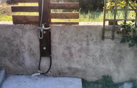 Green Heaven - Foto 19