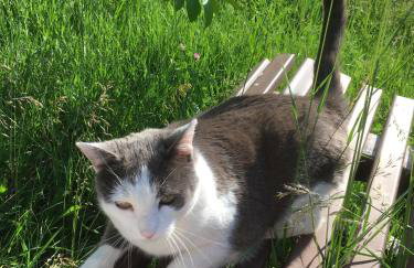 Ferienwohnung Im Schiller - Foto 13