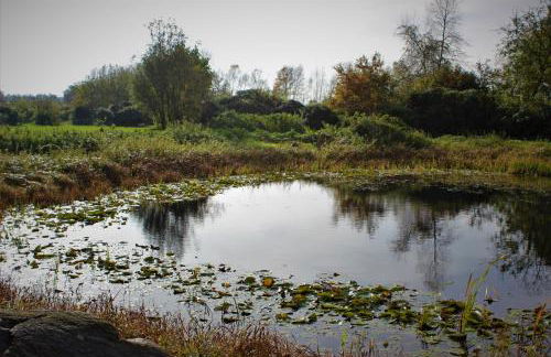 Ruhe unter Reet-Haus mit Sauna, Whirlpool und Kamin - Foto 18