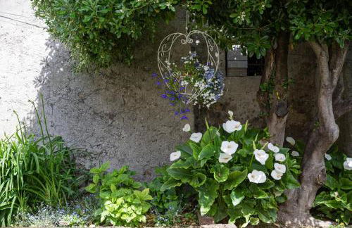 APPARTAMENTO CASA VACANZA AGRITURISMO BORGO di CALMASINO - Foto 38