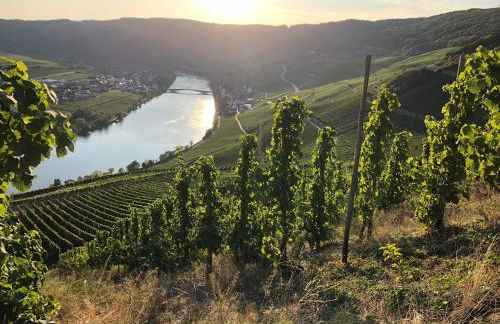 Ferienwohnung Familie Kirsten - Foto 7