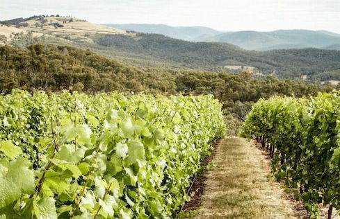 Eco Villa Mt Beauty Near Falls Creek & Bright - Photo 38