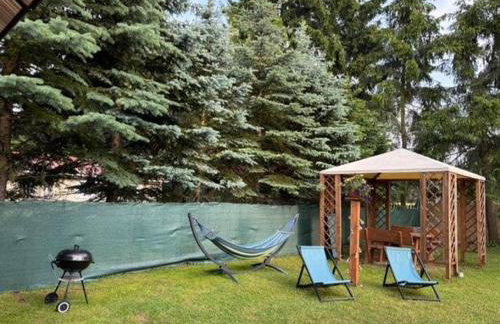 Butelkowa Zieleń - Foto 29