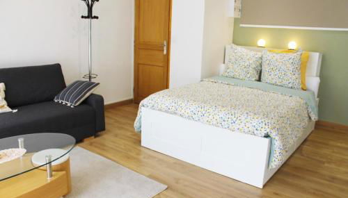 Saint Etienne : appartement Châteaucreux 40 M2 - Foto 4