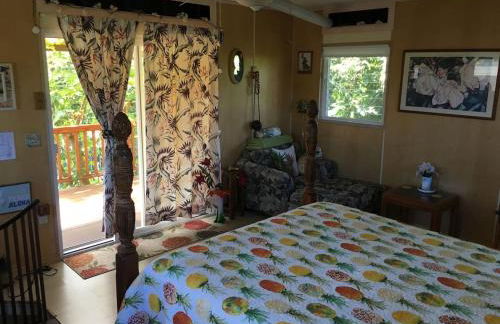 Lucy Fan Ohana - Photo 18