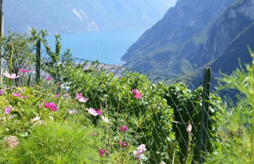 Casa Furletti Holiday Home - Foto 15