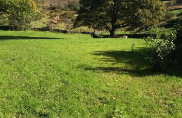 Pine cottage with private hot tub - Photo 19
