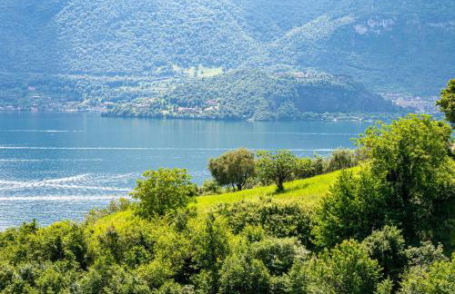 Italian vacation Homes - Iseo Lake Vista Retreat - Photo 61