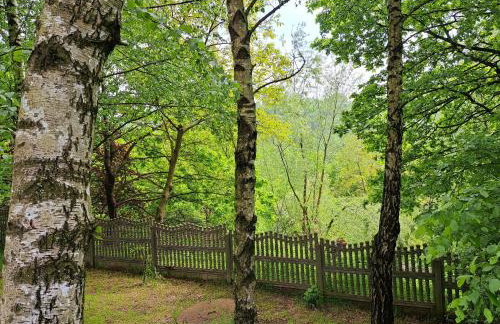 Brzozowy Zakątek - Foto 64