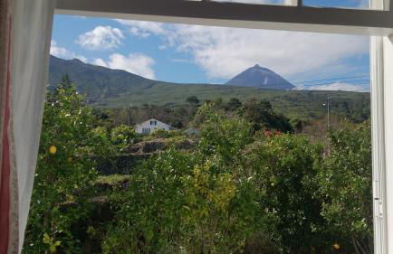 Casa Do Canto # PICO HOLIDAY RENTALS - Photo 18