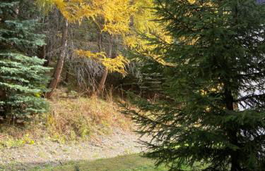 Appartement Les Menuires - 4 personnes à 20 m des pistes - Foto 18