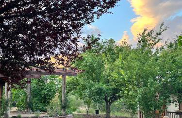 13 acres Perfect for Groups! 3BR Sleeps 8-10 - Foto 68