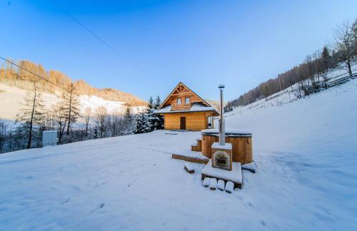 Domek w Górach - Foto 45