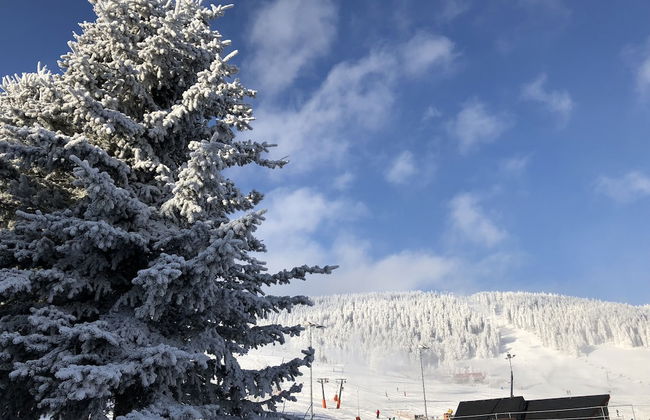 Apartments Fichtelberger Blick - Foto 78