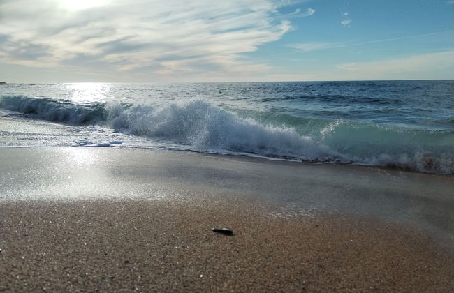 a Vacation That Becomes a Dream - Photo 19