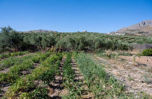 Agroturismo Ecologico el Cortijillo - Foto 47