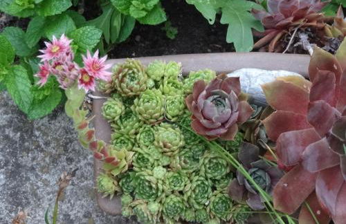 Ferienwohnung Bei der Töpferei - Photo 21