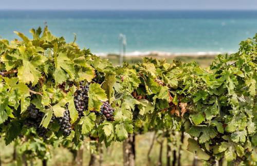 Novatek Apartment 202 Exclusive - Foto 33