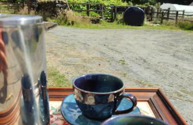 Pandy Farmhouse - Panoramic mountain views within Snowdonia's National Park - 4x4 Only - Foto 17