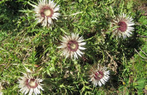 Landhaus Aigner-Vogler - Foto 28