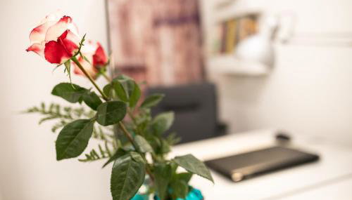 Campus House - Photo 3